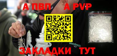 стаф Донской