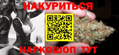 стаф Донской