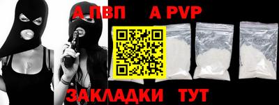 стаф Донской
